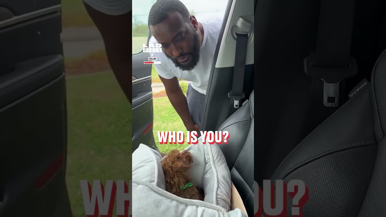 Filming my husband's reaction to me getting another dog... 🤣 (🎥: Collab)