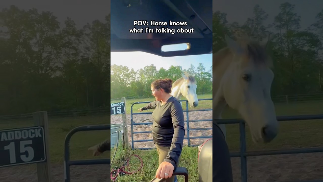 Horses can understand what we say.🐴 🐎#horse #funny #fyp #pet #foryou