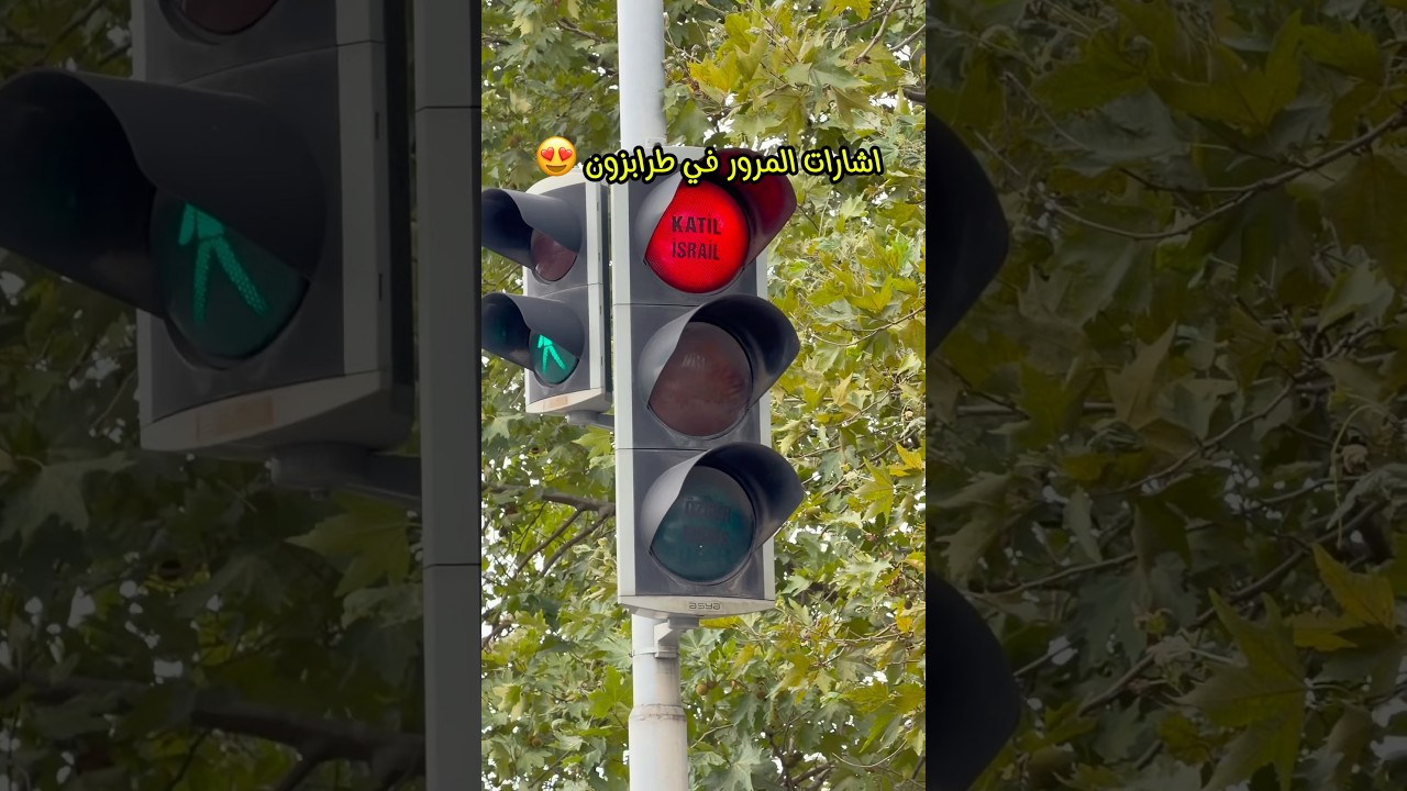 اجمل اشارة مرور في العالم!!😍