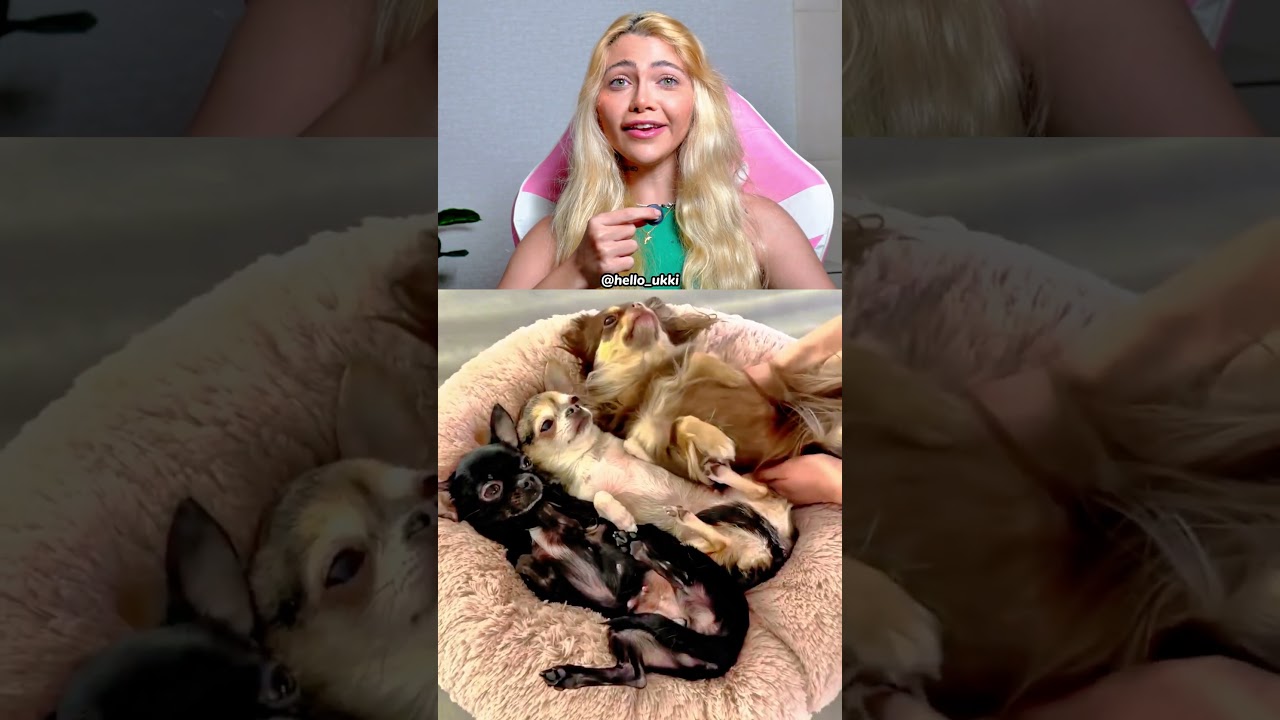 Não to bem com esse vídeo