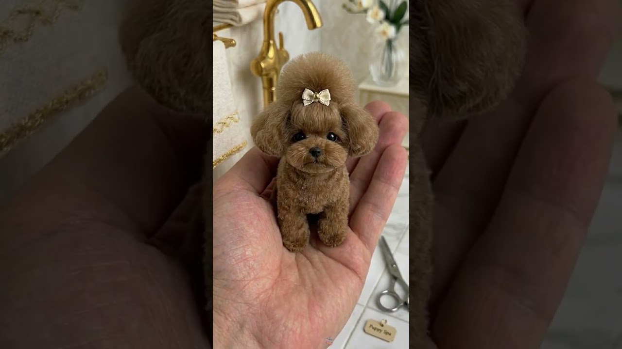 This Puppy's Spa Day Melted My Heart! 🥹