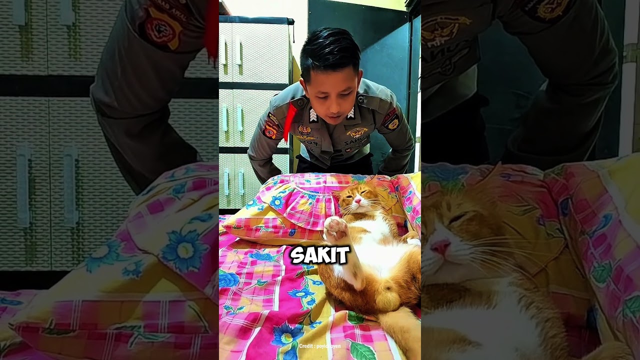 KUCING OREN GAMAU DITINGGAL KERJA