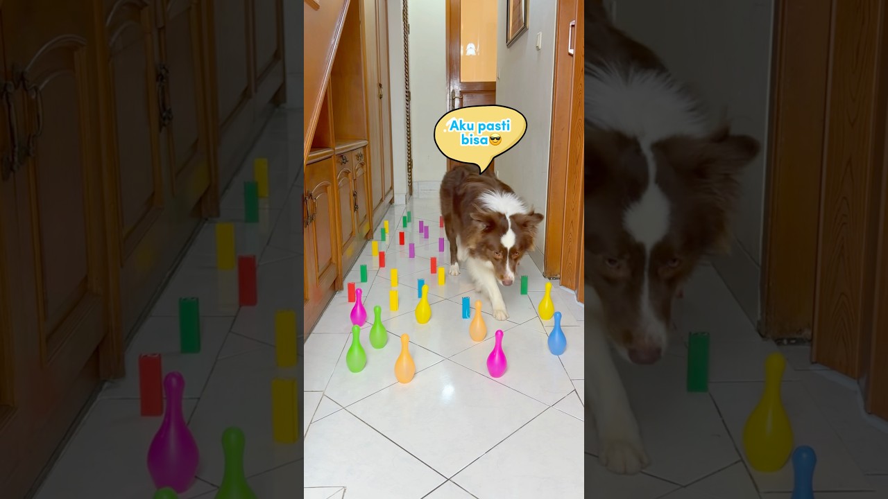 CHALLENGE RINTANGAN ANABUL‼️ RYUKI & RAIDEN BERHASIL GAK YAA??😂 #shorts #anjinglucu