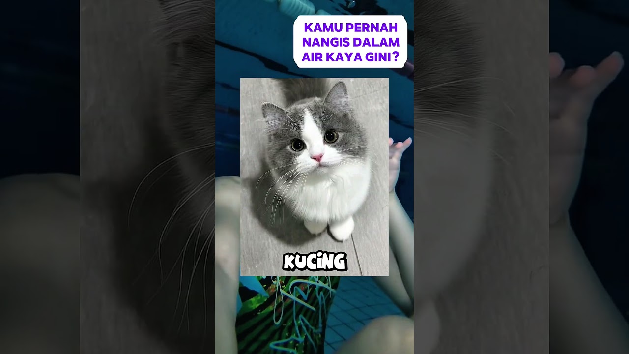 wanita ini menangis di kolam renang hingga malam hari #kolamrenang #berenang #cry #shorts #sad