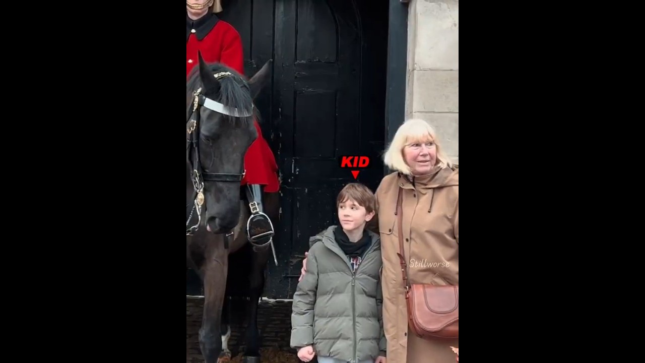 How King Guard Friendly With Babies 🥰#kingguard