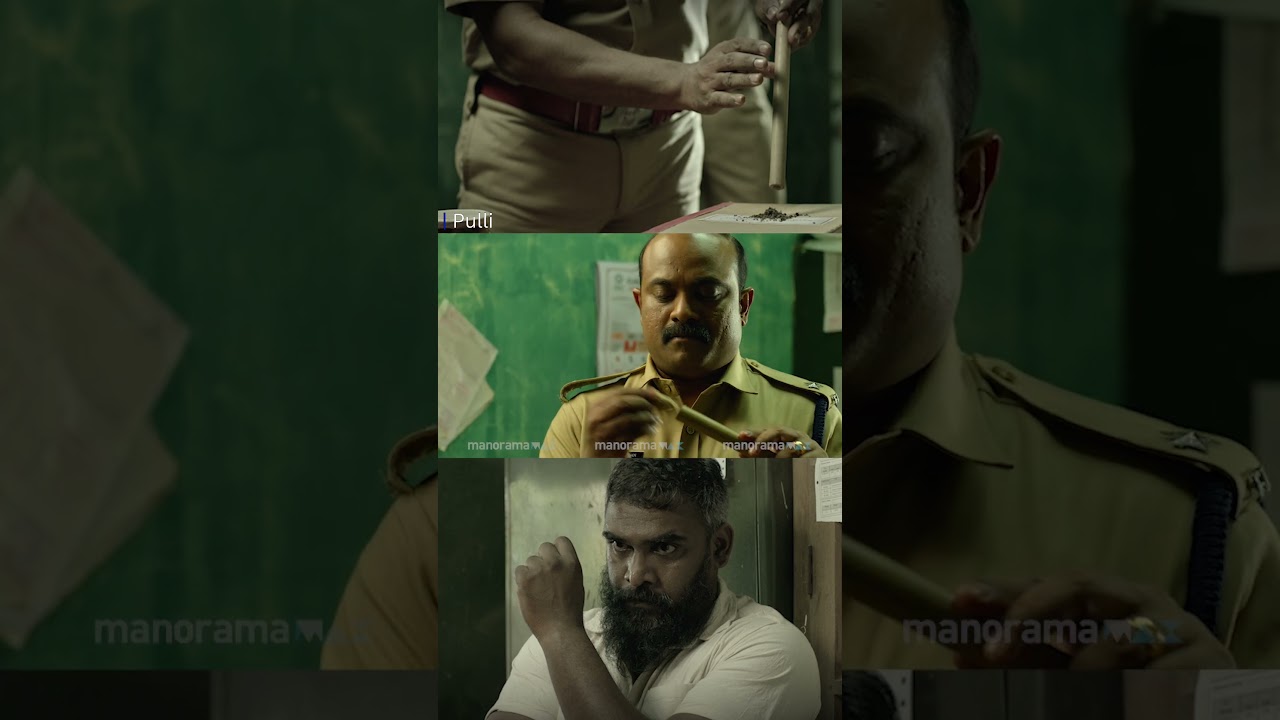 വോഡ്‌കയിൽ ഇട്ട നെല്ലിപ്പുളി അച്ചാർ...| Malayalam Movie | Pulli