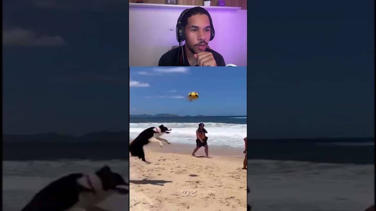 O Cachorro de Cada Jogador