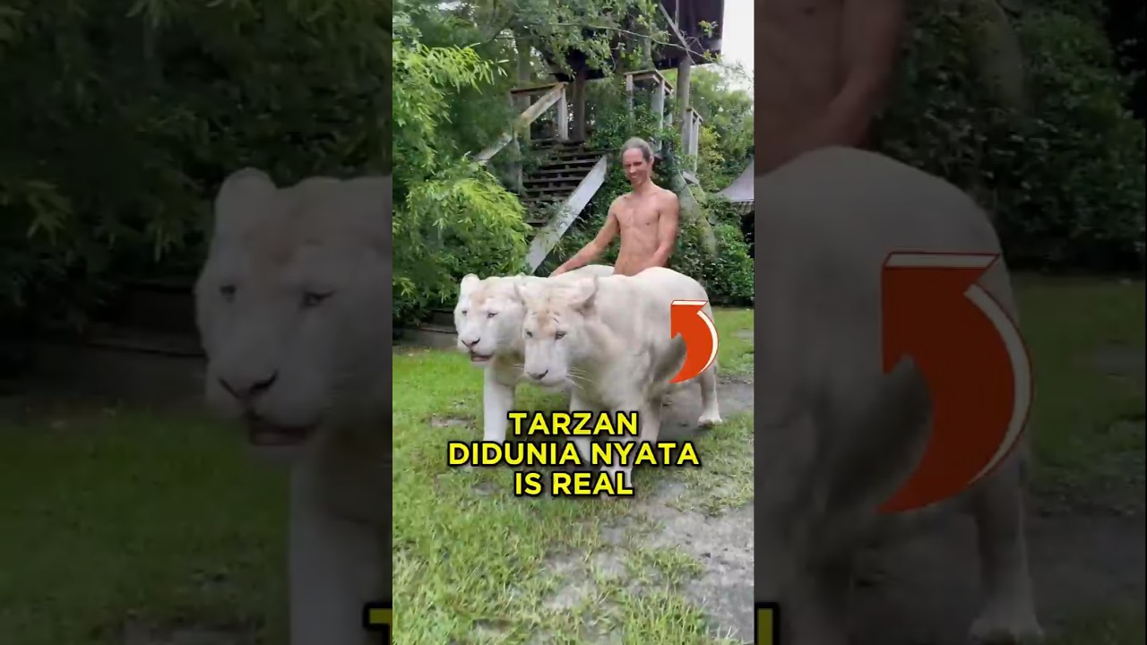 Pria Ini Bertingkah Layaknya Tarzan Di Dunia Nyata 😯✨ #shorts