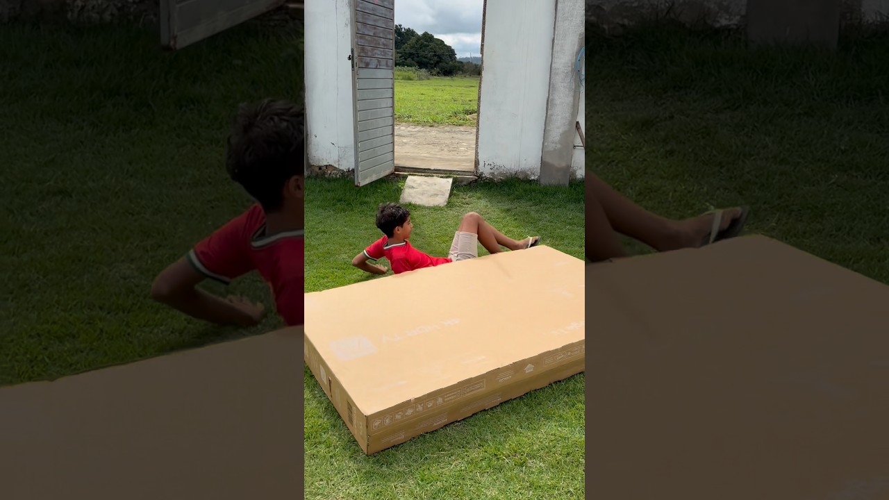 Ele se escondeu na caixa