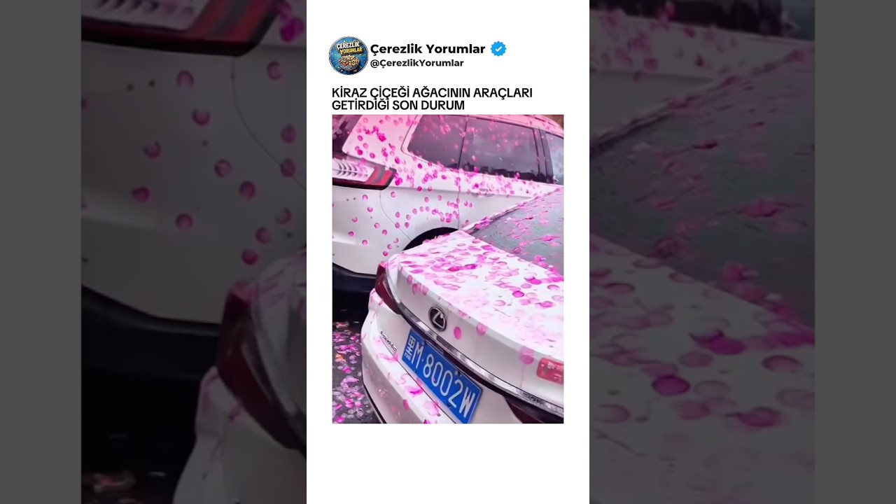 Arabanız bu duruma gelse ne yaparsanız ?