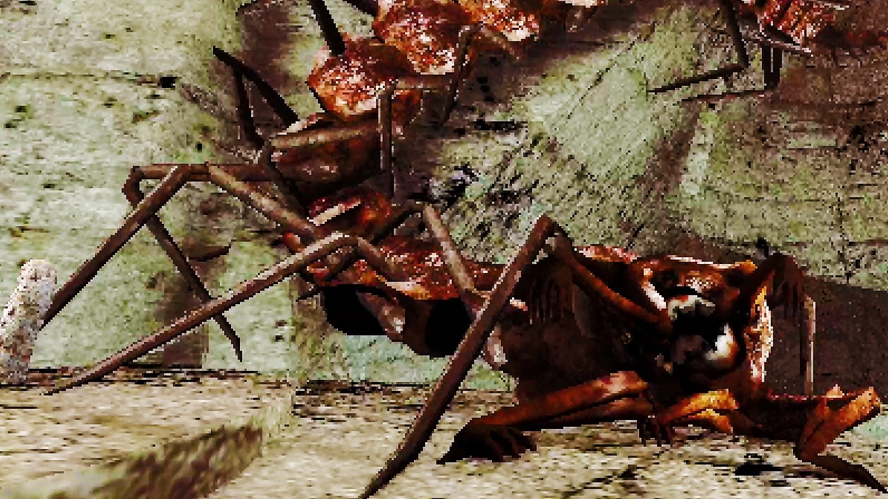 BAYANGKAN KAMU HARUS TURUN SAMBIL DIKEJAR KELABANG RAKSASA.... Idols of Ash