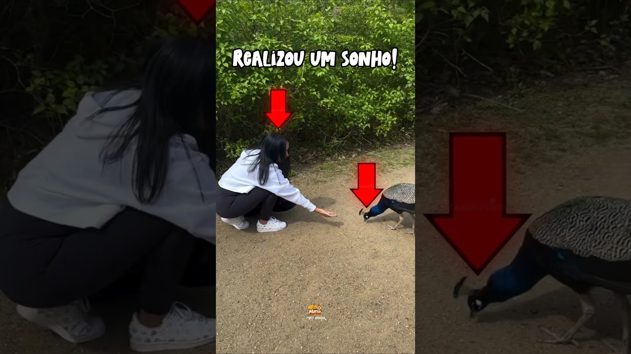 Ela só tinha um sonho🥹😳#curiosidades #shortsfeed #shorts #vixi_maria