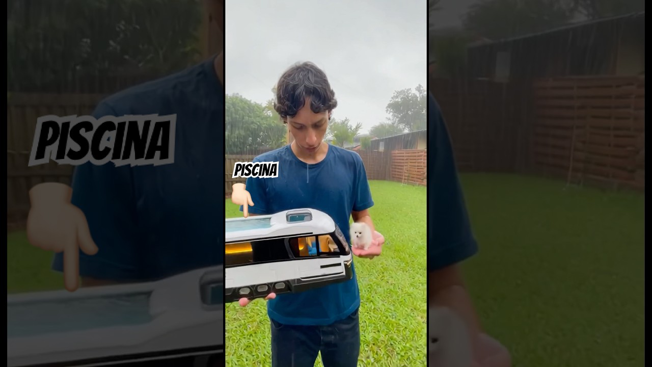 Dei um motorhome com piscina para o meu cachorro! 😱🚎