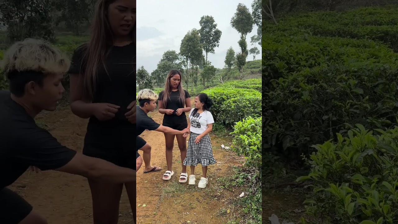 Aktivitas dikebun teh