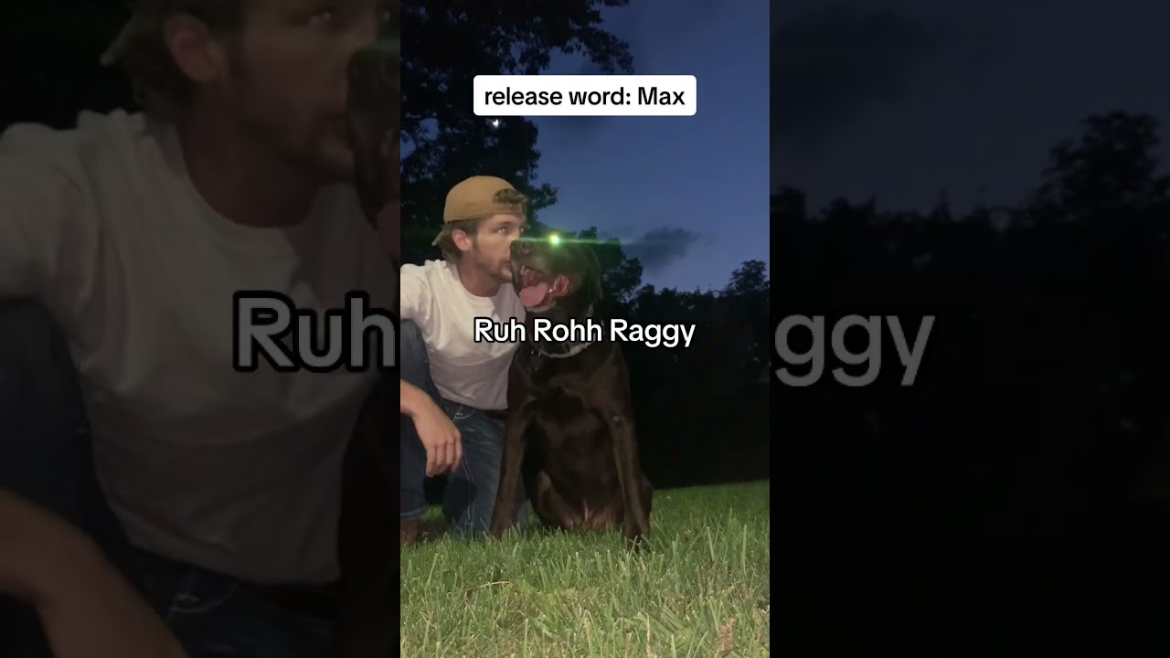 a boy and his bird dog - Published by Life By Max 