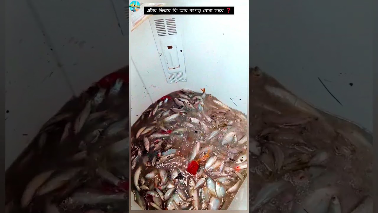 ফ্রিতে পাওয়া জিনিস আমরা বাঙালিরা মর্মো করতে জানিনা।😔