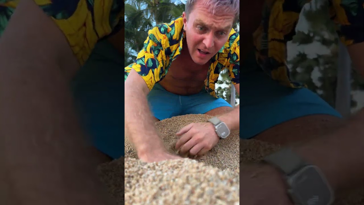 I hear a cat crying under the beach 😱😿 #crazykozak #catlover #catblogger #catvideos #catman #mycat