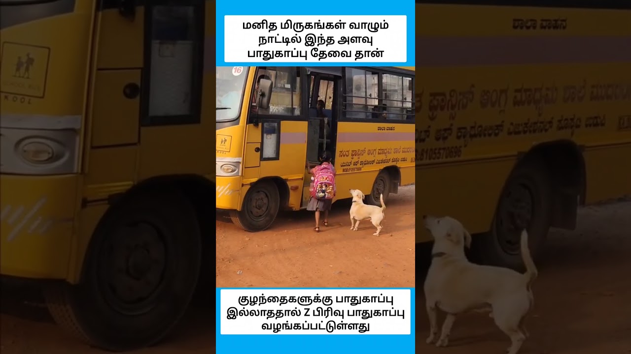 குழந்தைகள் முதல் பெரியவர்கள் வரை அனைவருக்கும் பாதுகாவலன் #shorts