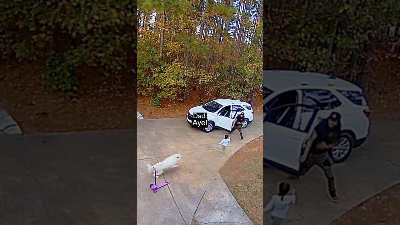 Hero Dad Saves Daughter From Dog