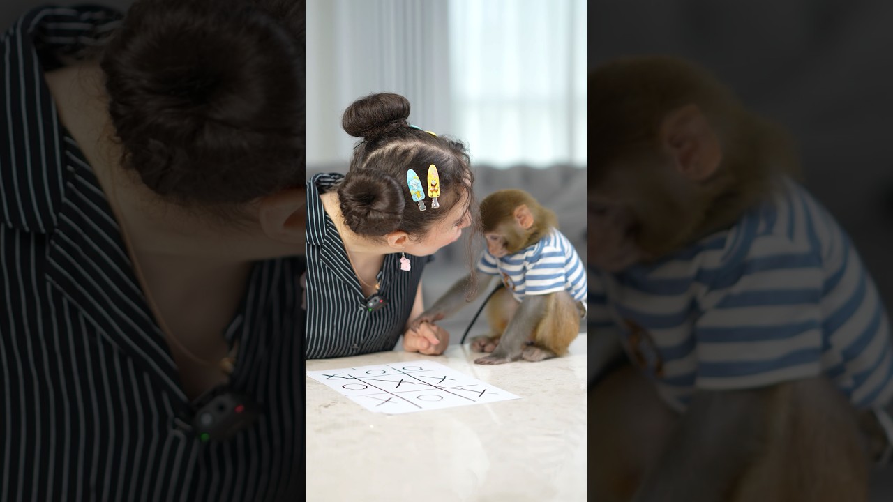 شفتوا فلوق جبت حيوان غريب 🫢 وفي مسابقة 500 دولار