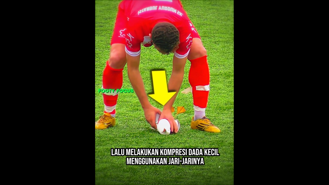 Menyelamatkan Burung Camar Dengan CPR ♥️