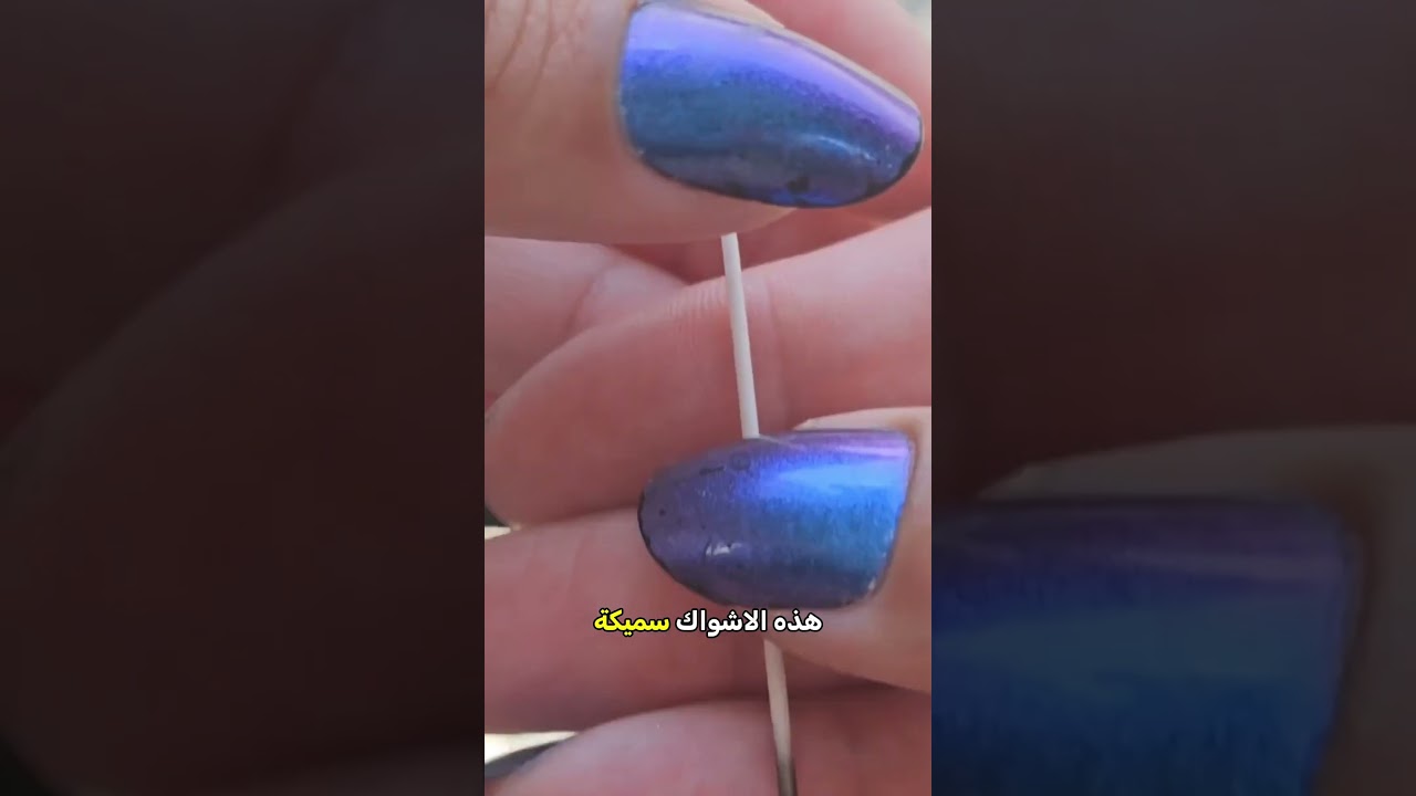 لماذا يزعجون حيوان الشيهم؟ السر في أشواكه! 🦔😱