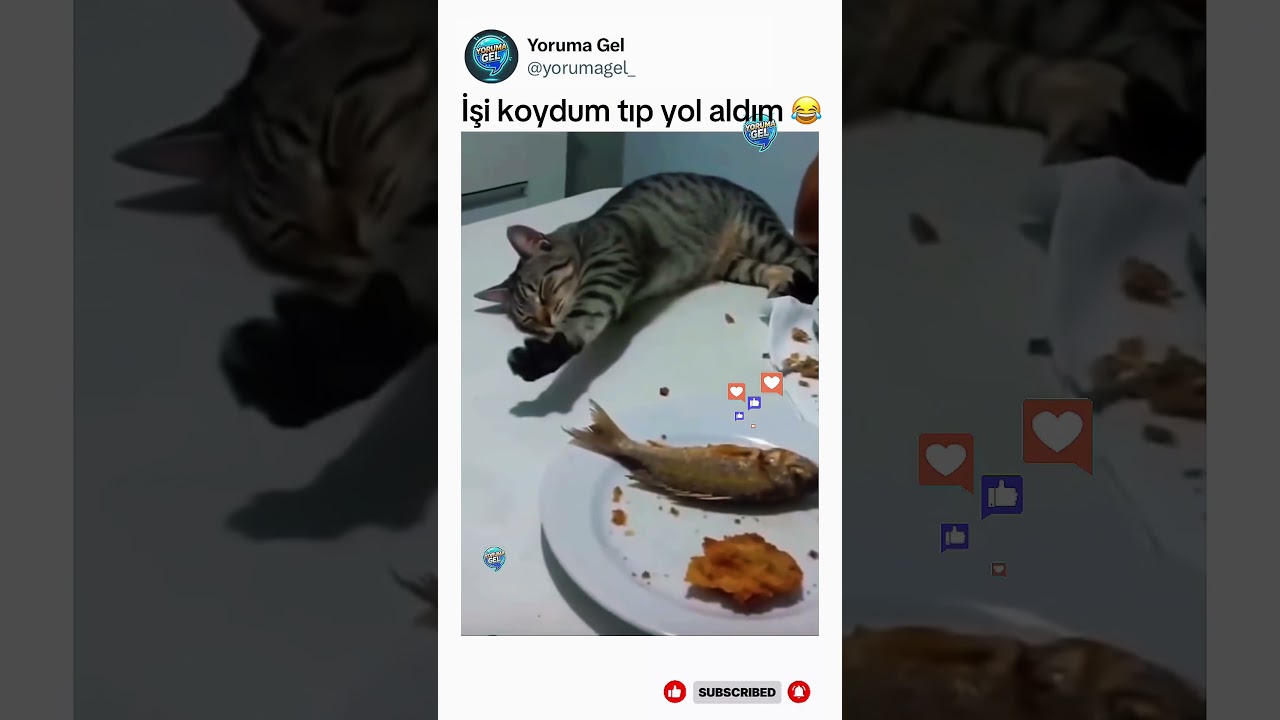 Bak sen şunun aklına 😂