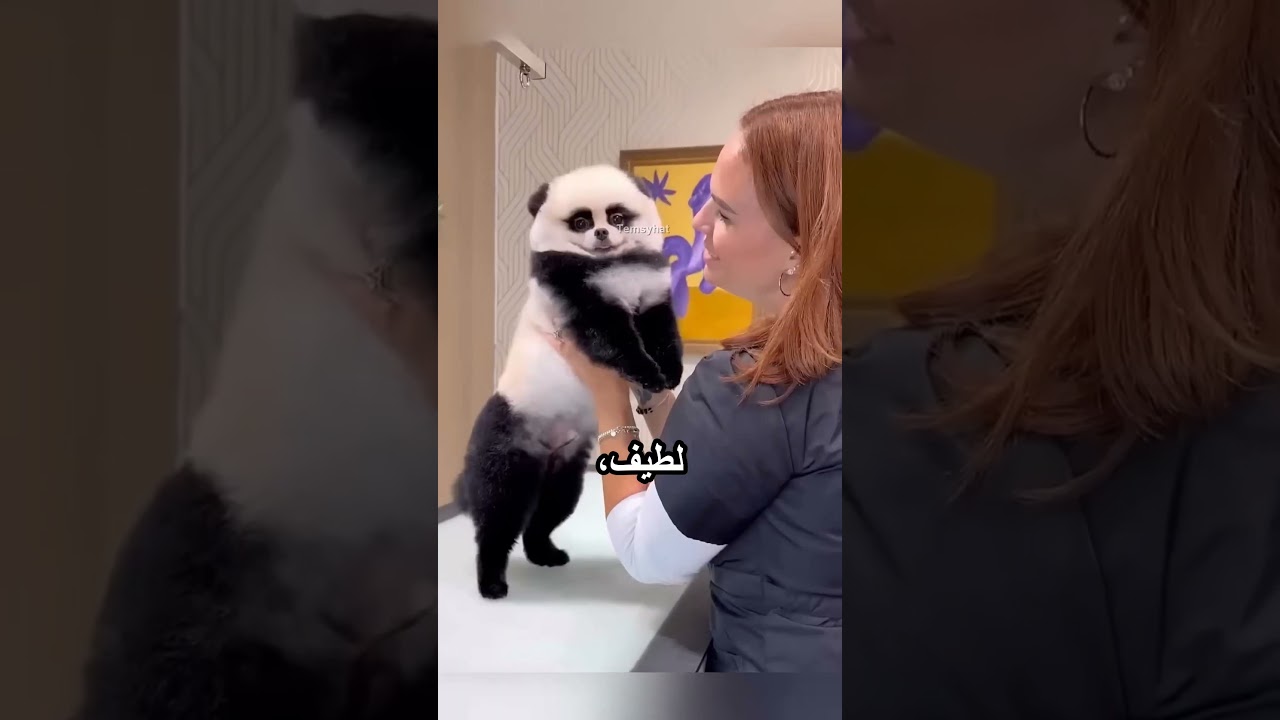 بتعامل كلابها بطريقة مميزة