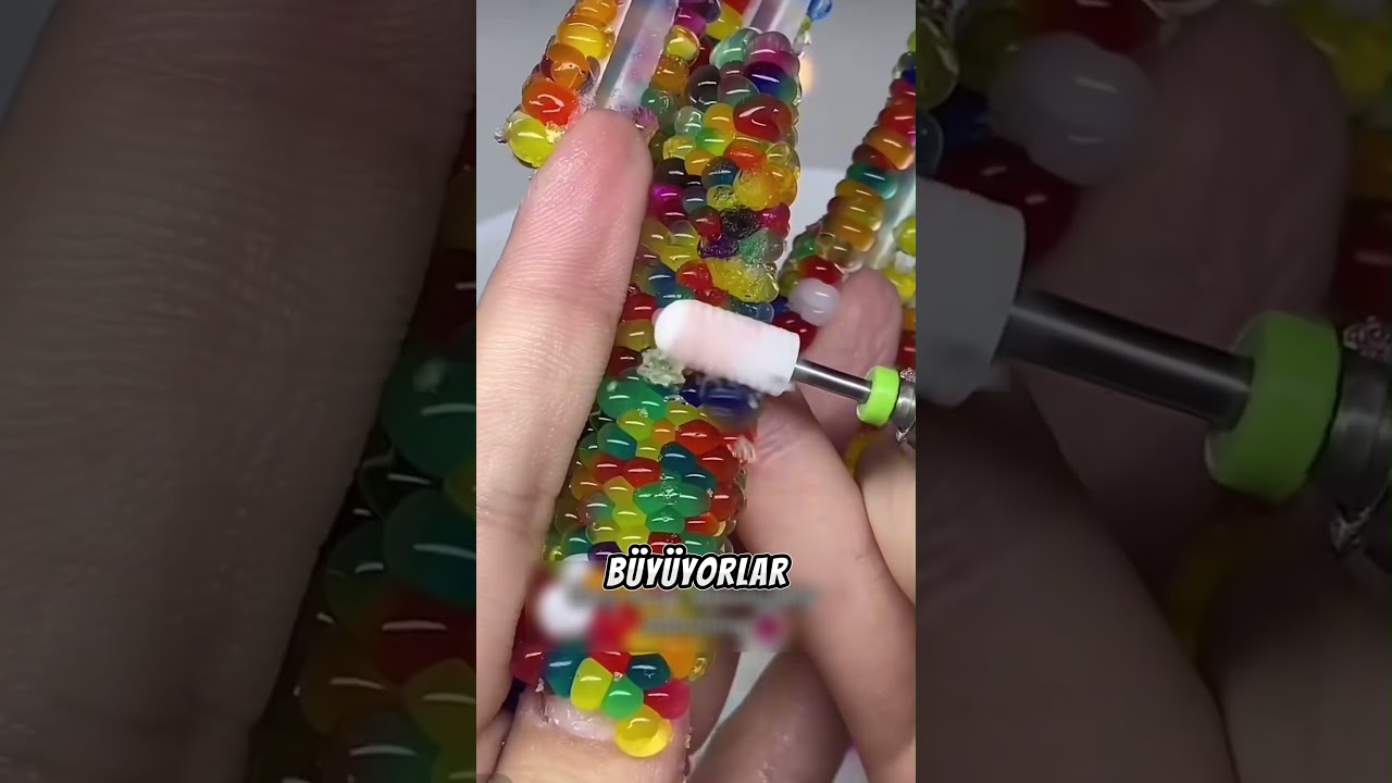Su Boncukları Neden Köpeğiniz için Tehlikeli? 🤔