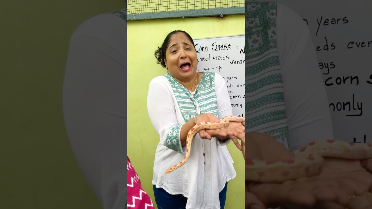 Hyderabad Mini vlog-3 #richakka #ytshorts #explore #ShopsyLoot