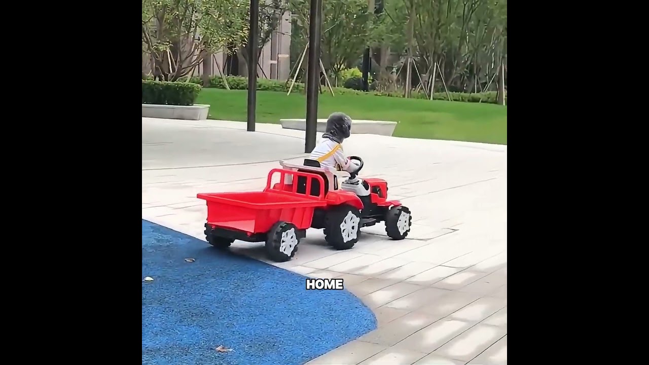 This dog's wisdom is comparable to that of a human #pets #cute #funny #shorts #love - Published by FOX FILMS