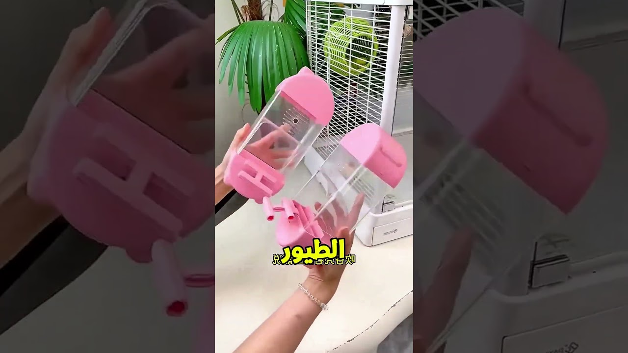 الطيور كانت بترمي الأكل كل يوم.. والحل كان في جهاز عبقري! 🐦