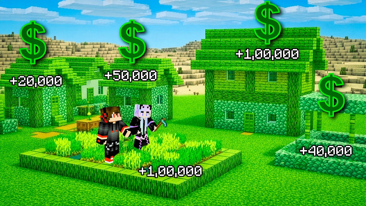 Poor To Millionaire in a Millionaire villager City