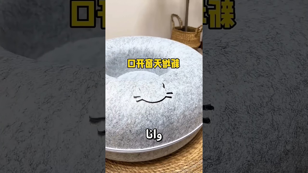 🐱 شاهد صدمة القطط بعد شراء فاطمة سرير جديد وغضب القط الصغير المفاجئ | قصص دان #شورت