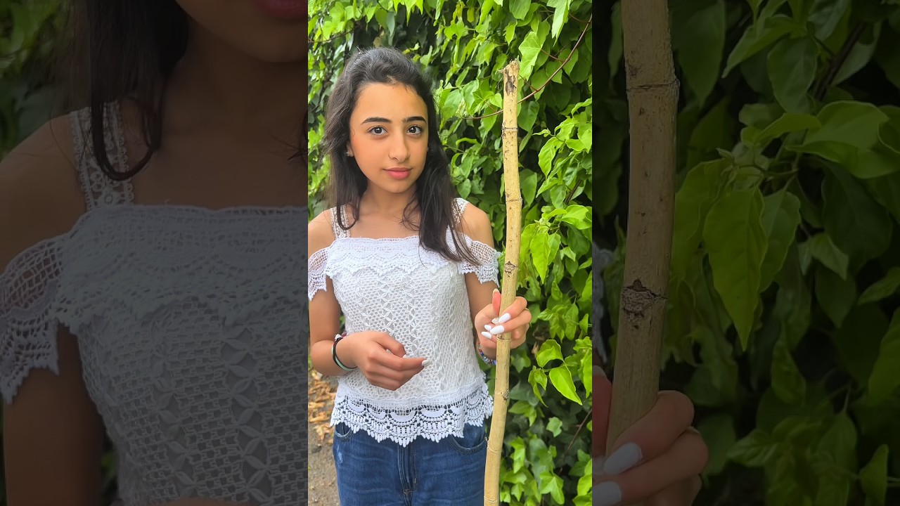 تيا بالطريق مع الباستا بس ليا😱 #shortvideo #funny #comedy #humor #youtubeshorts #shorts #اكسبلور
