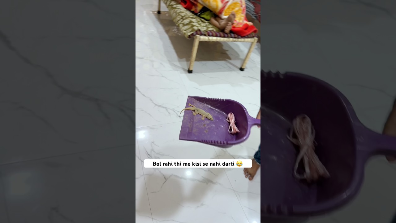 Bol rahi thi me kisi se nahi darti 😂 wait for end 🤣 #funny #comedy #shubhanya #foryou  #trending