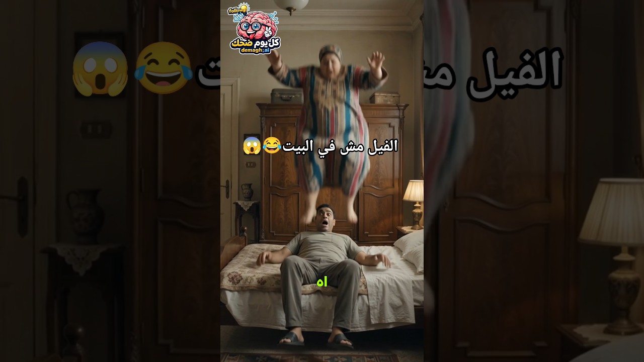 الفيل مش في البيت 😱😂