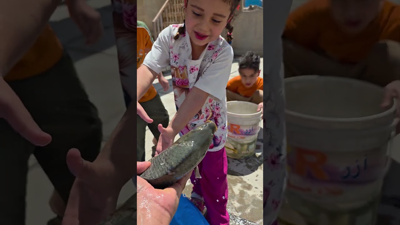 لولو ماخاف من السمكة 😅😅😅#فقور وحيدور وحسن