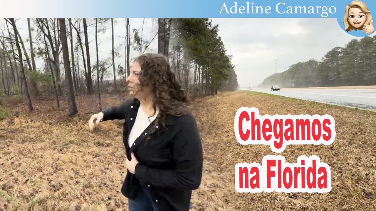 Paramos o carro na chuva para resgatar um cachorro abandonado na estrada @AdelineCamargo