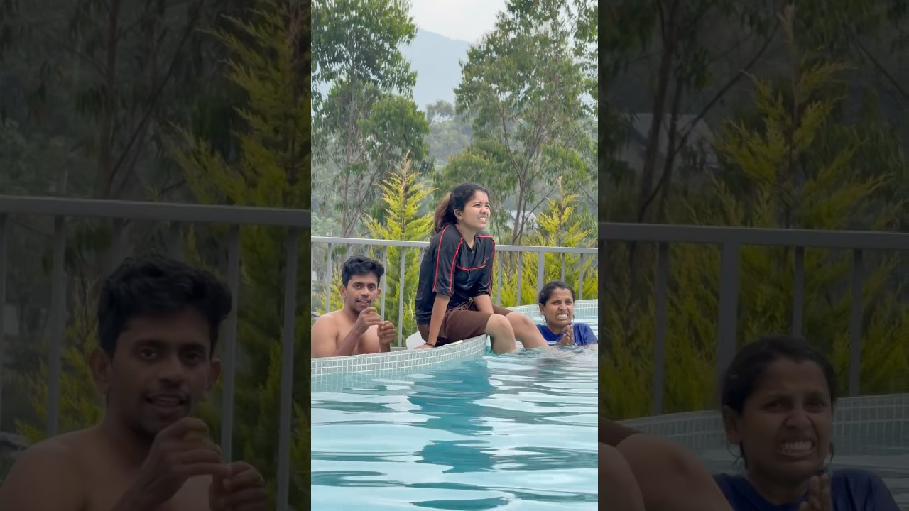 അമ്മച്ചി പാമ്പ്