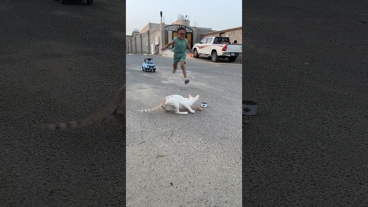 حمودي طرد القطه الجديدة 🐈😭🔥 #shorts