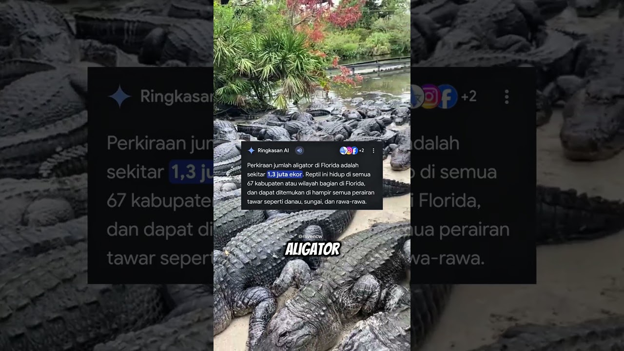 waspadalah jika melihat genangan air di Florida