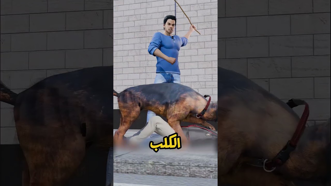 كلب أسقط طفلًا في الشارع… والسبب صدم الجميع! 😳🐕