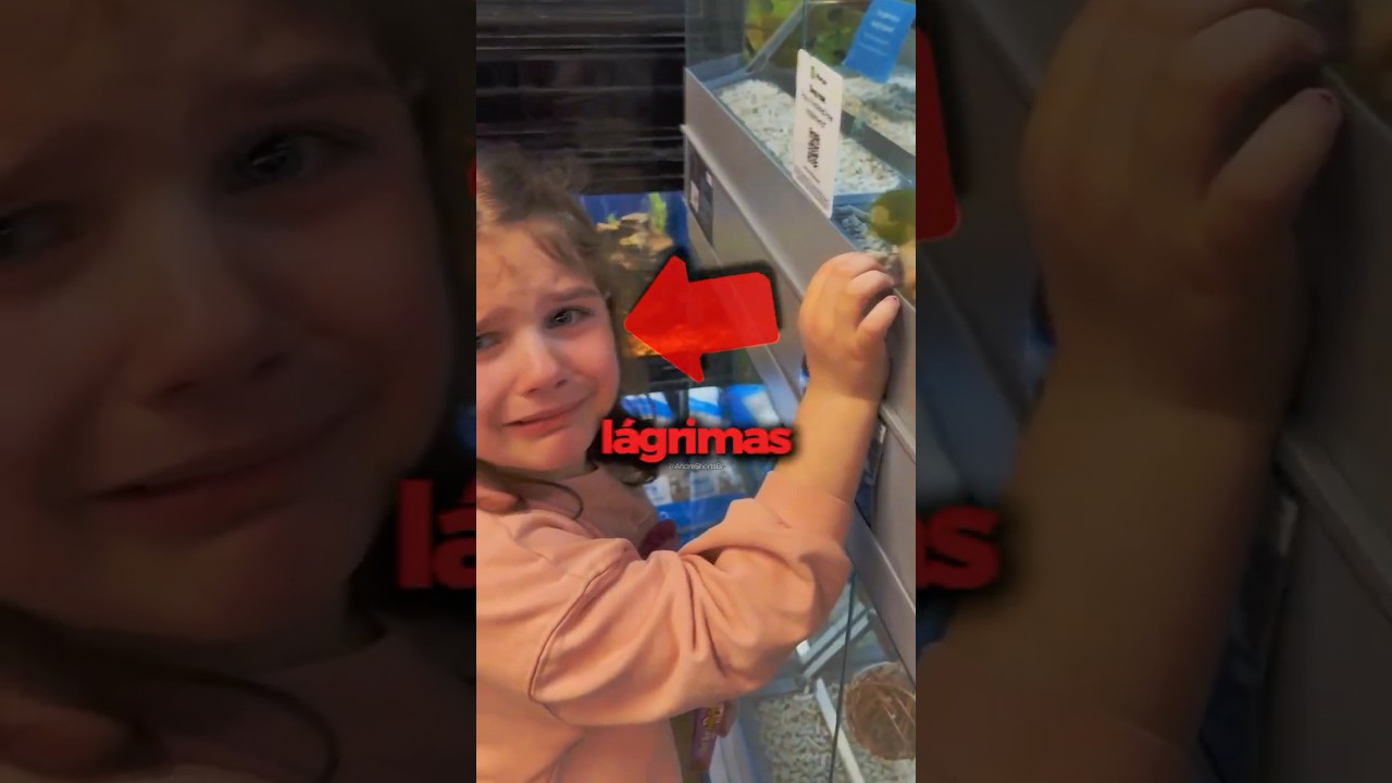 Ela encontrou seu Pássaro Perdido em uma LOJA! 😮#shorts #passaros #pets