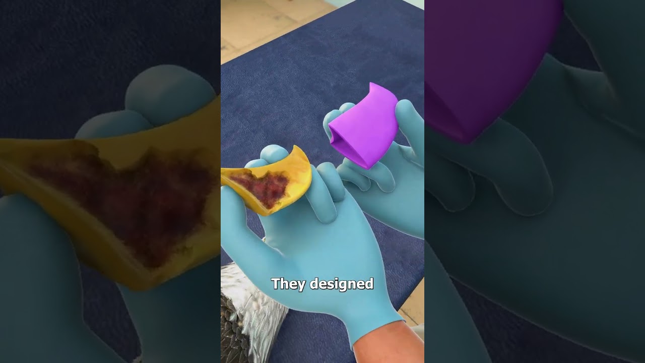 Eagle Gets A 3D Printed Beak 🥲