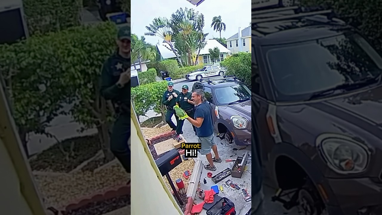 Police Respond To a Disturbance and Get a Hilarious Surprise…