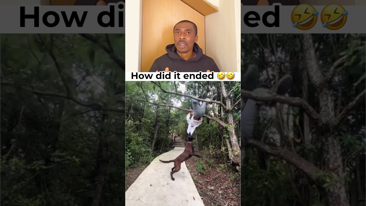 Wait for the end so funny 🤣🤣