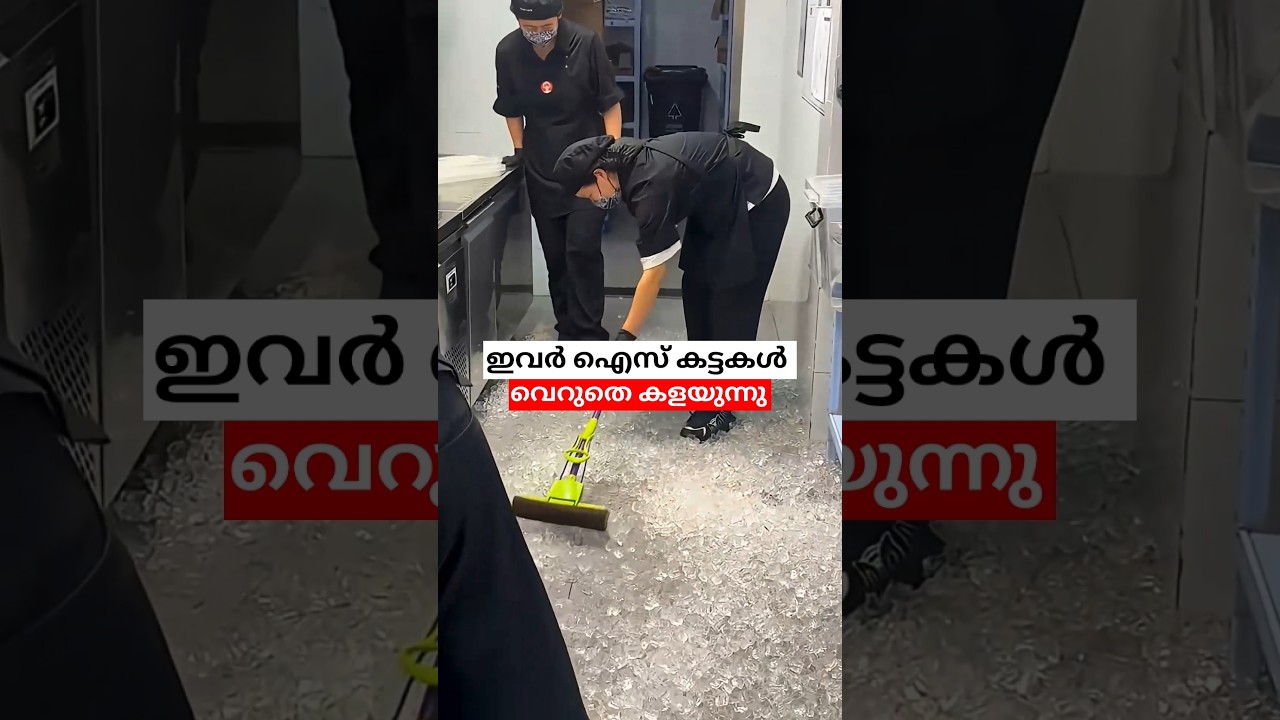 ജപ്പാനിലെ ഐസ് ക്ലീനിങ് കണ്ടോ #shorts #malayalam #resturant
