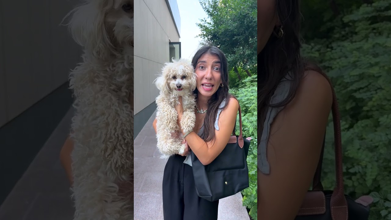 eve gizlice köpek sokmak istediğimde 😂❤️
