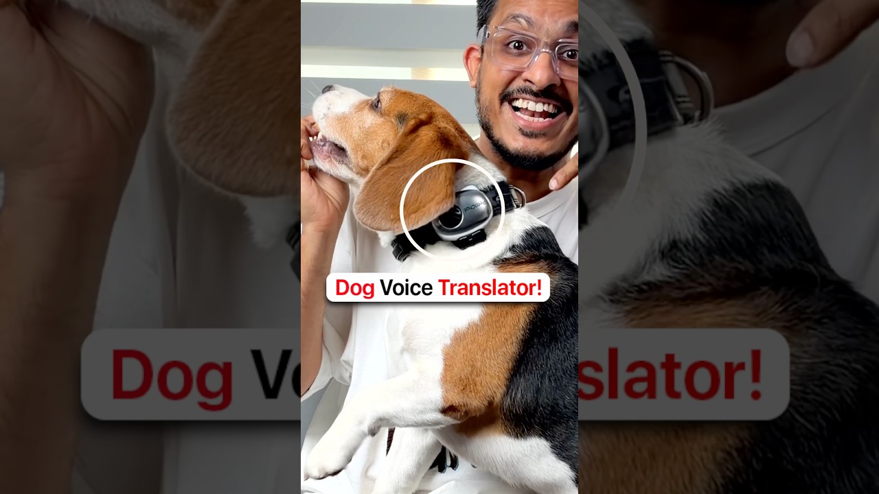This Gadget Translates Dog Language! 🤯